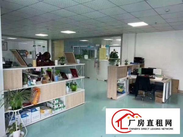 新出精装厂房2楼1580平，可直接入住，使用率高，可分租