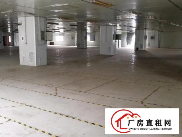  龙华大浪新出楼上带装修厂房2550平方出租