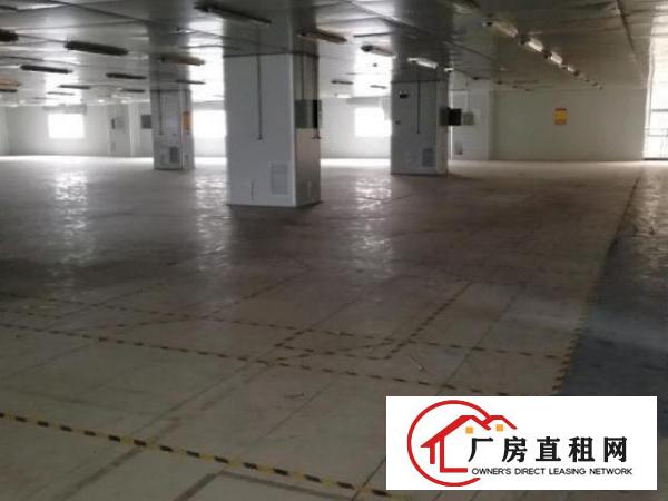  龙华大浪新出楼上带装修厂房2550平方出租