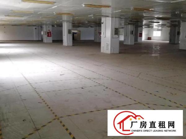  龙华大浪新出楼上带装修厂房2550平方出租