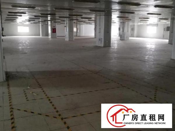  龙华大浪新出楼上带装修厂房2550平方出租