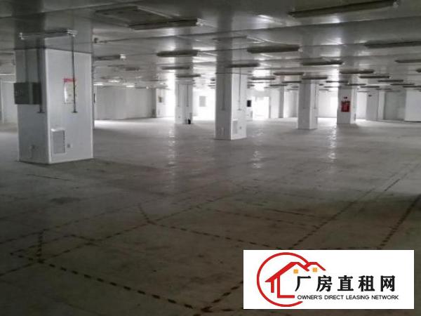  龙华大浪新出楼上带装修厂房2550平方出租