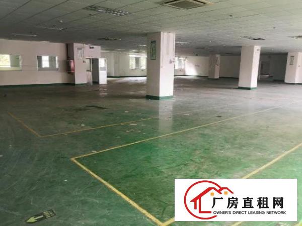  龙华大浪明路旁，独院原房东厂房出租，大小可分租