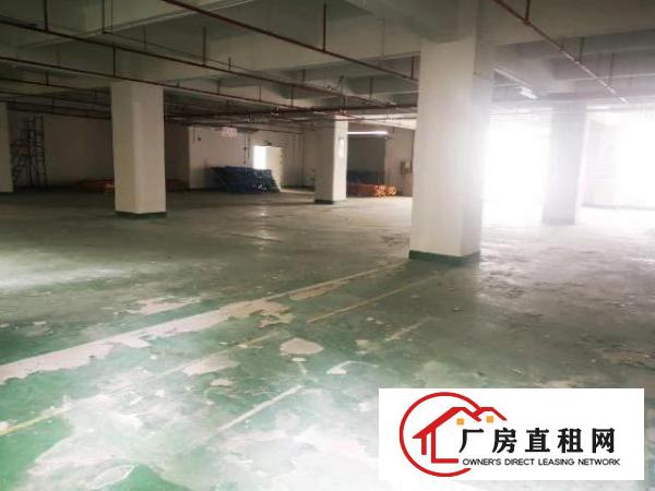  龙华大浪明路旁，独院原房东厂房出租，大小可分租