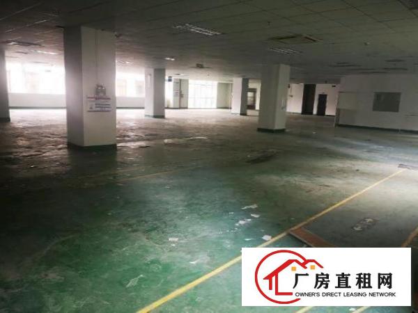  龙华大浪明路旁，独院原房东厂房出租，大小可分租