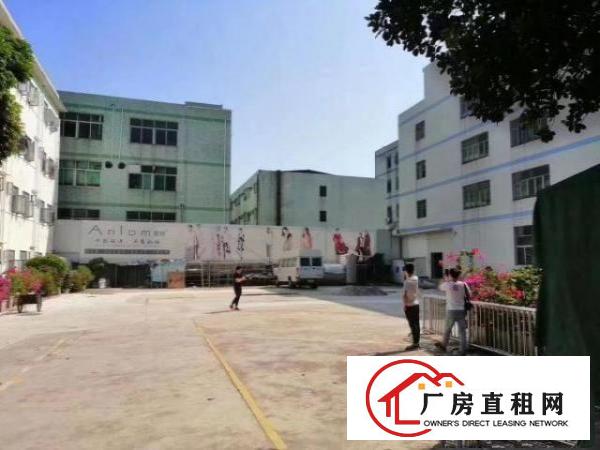  龙华大浪商业中心附近，原房东独院厂房招租，大小可分租
