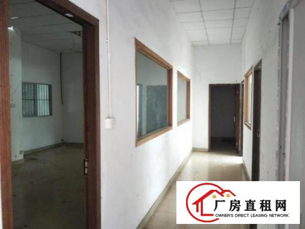  新出厂房1楼1300平，滴水6米，可分租