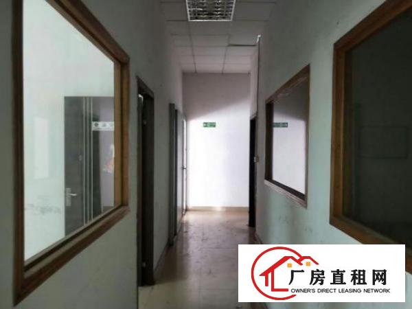  新出厂房1楼1300平，滴水6米，可分租