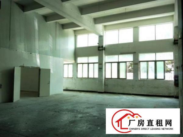  新出厂房1楼1300平，滴水6米，可分租