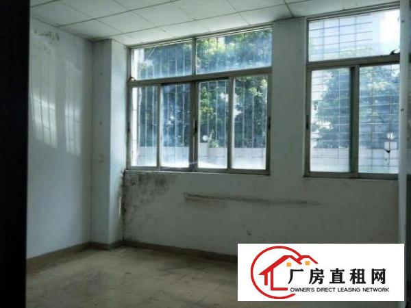  新出厂房1楼1300平，滴水6米，可分租