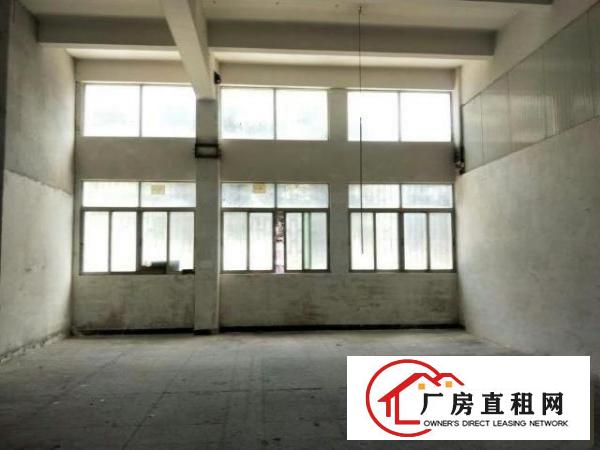  新出厂房1楼1300平，滴水6米，可分租
