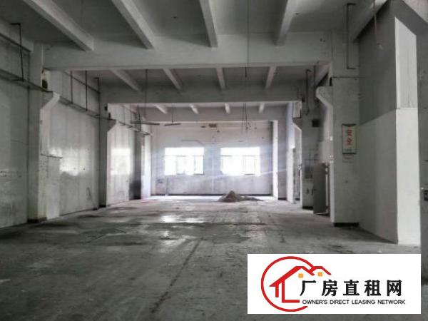  新出厂房1楼1300平，滴水6米，可分租