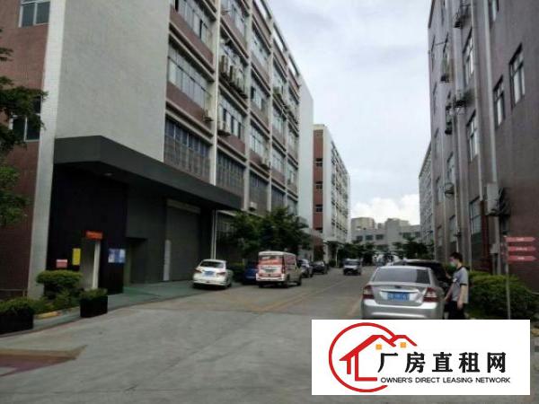  原房东新出整栋厂房总建6000平、单层面积1200平共5层