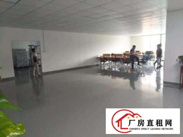  龙华大浪华悦路义乌宝华诚550平带装修厂房不要转让费