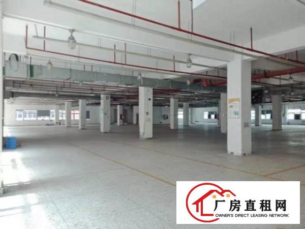  龙华标准原房东厂房31000出租