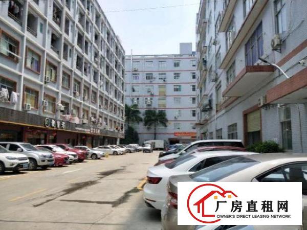  上横朗新出1楼厂房760平带装修