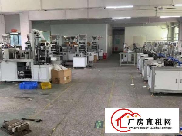  大浪商业中心附近1050平厂房出租原东的房子转租