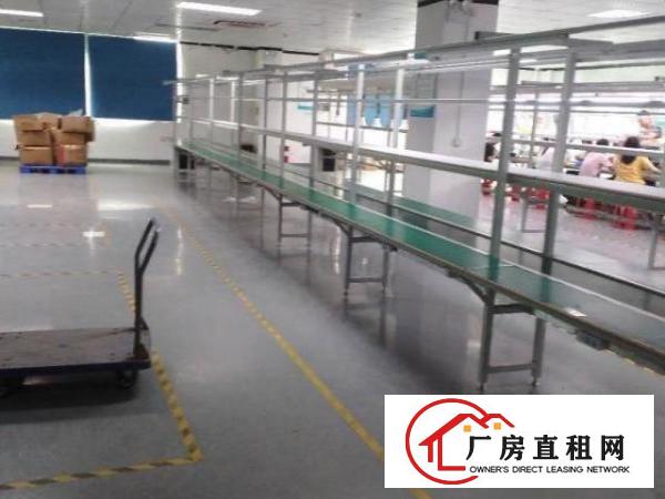  大浪商业中心厂房出租1050平带精装修无需转让费大小可分租