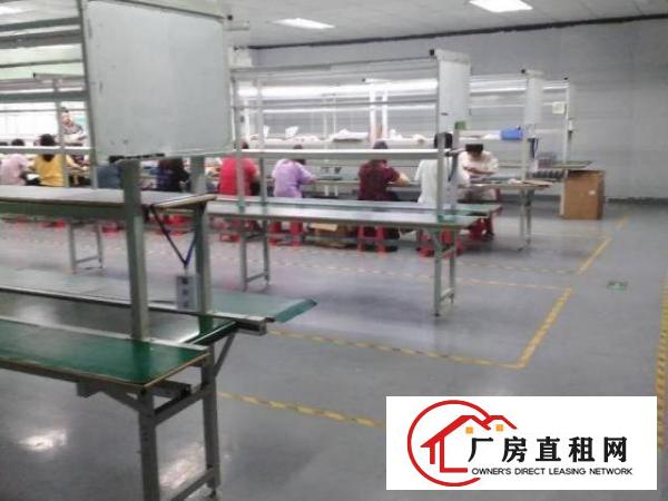  大浪商业中心厂房出租1050平带精装修无需转让费大小可分租