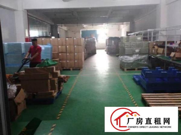  大浪商业中心厂房出租1050平带精装修无需转让费大小可分租