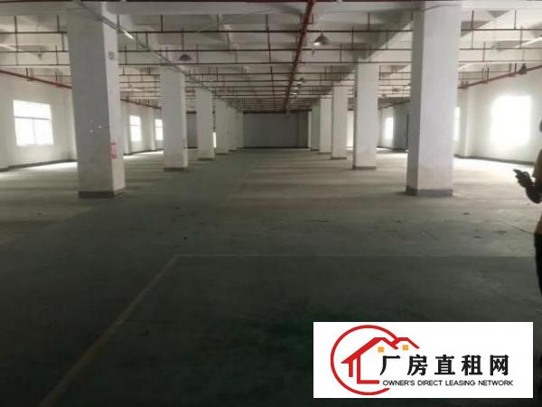  出租龙胜地铁站与布龙路使用率高厂房