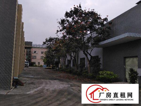  龙华大浪独门独院单一层厂房出租