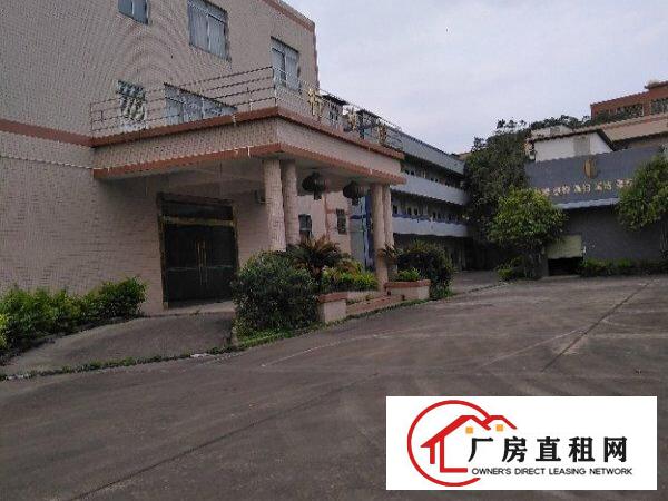  龙华大浪独门独院单一层厂房出租