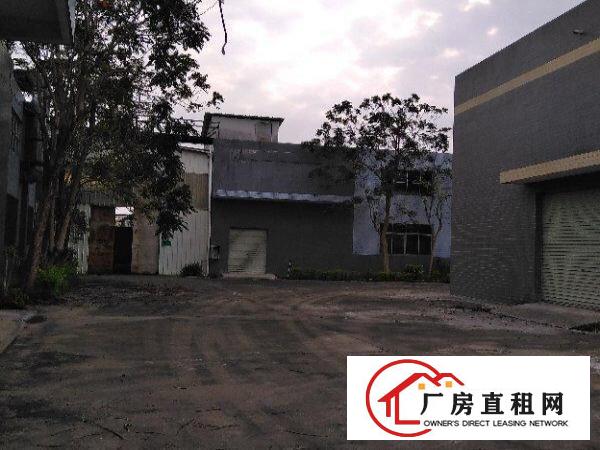  龙华大浪独门独院单一层厂房出租