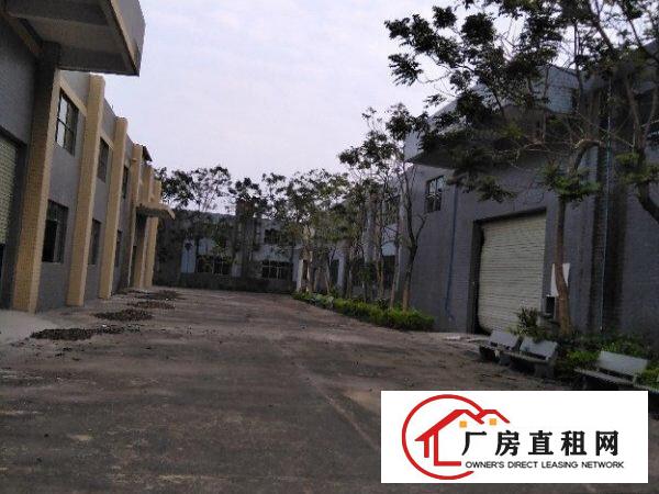  龙华大浪独门独院单一层厂房出租