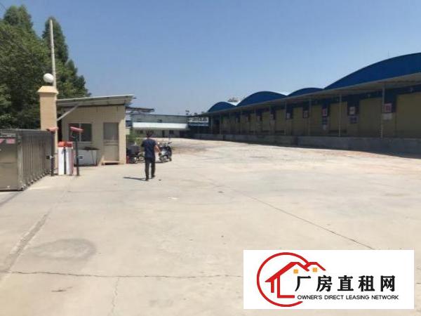  龙华大浪原房东独门独院高台仓出租