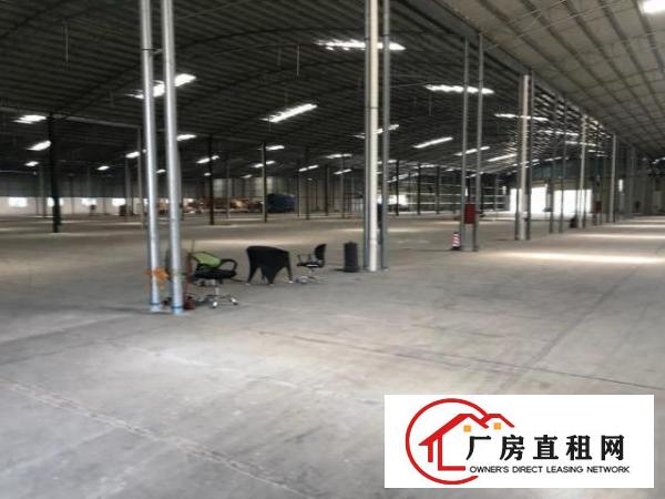  龙华大浪原房东独门独院高台仓出租