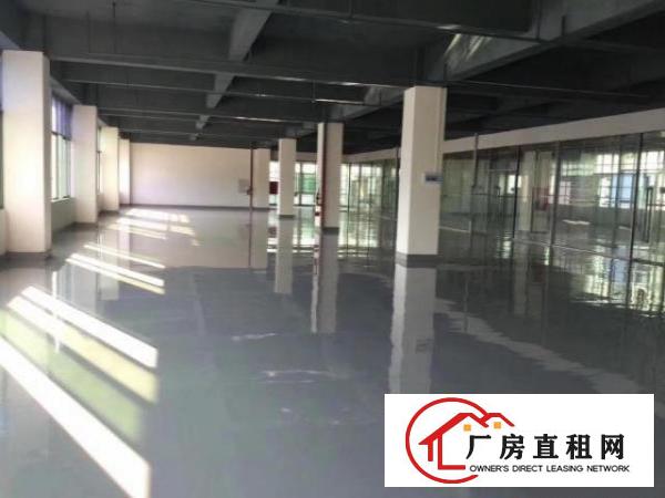  大浪服装基地新出厂房物业直租可分租面积自选可进大车