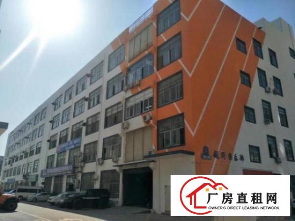  大浪服装基地新出厂房物业直租可分租面积自选可进大车
