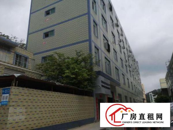  龙华大浪服装基地精装厂房出租价格实惠物业直租可进大车