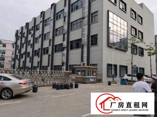  龙华大浪商业中心附近新出6400平独院独栋对外招租