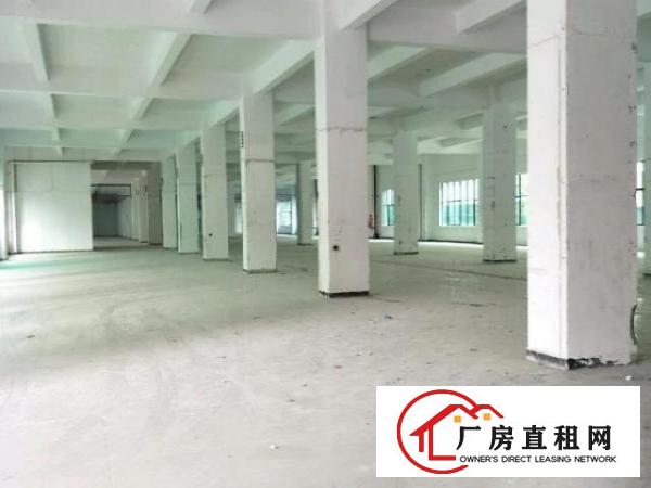  龙华大浪高新园区楼上4000平厂房招租