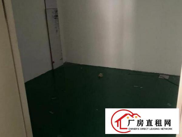  龙华带装修成熟工业园