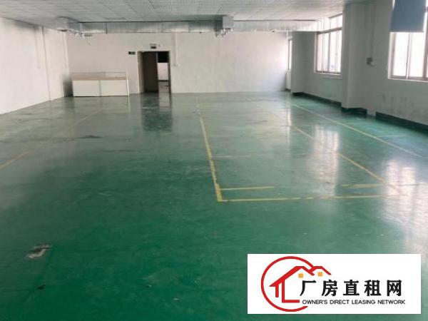  龙华带装修成熟工业园
