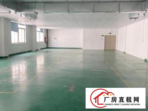  龙华带装修成熟工业园