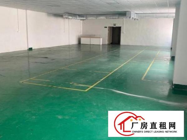  龙华带装修成熟工业园