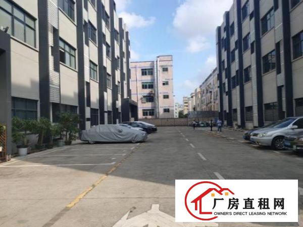 大浪整栋6480平面积出租