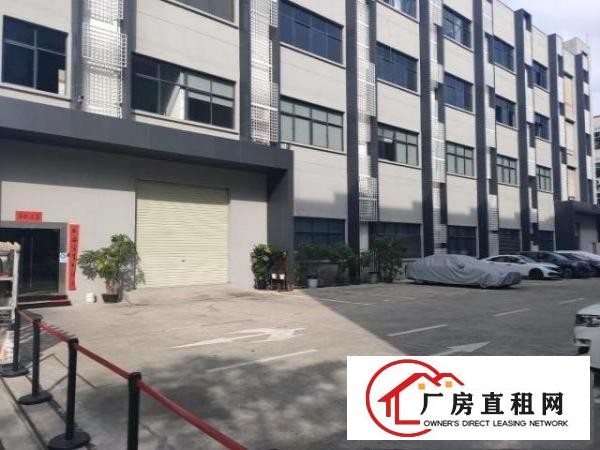  大浪整栋6480平面积出租
