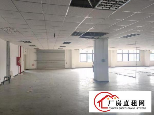  大浪整栋6480平面积出租
