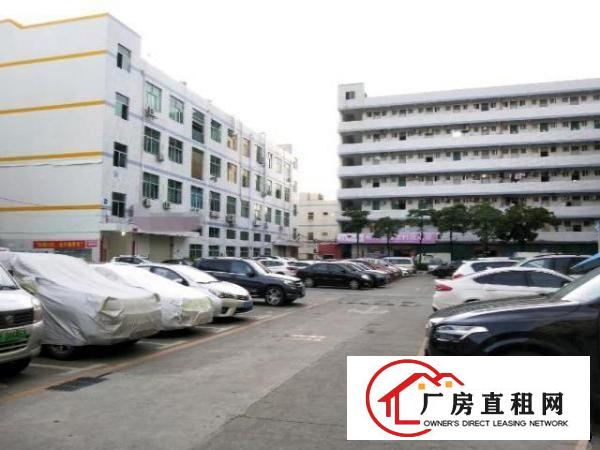  原房东独院厂房6000平可整可分租