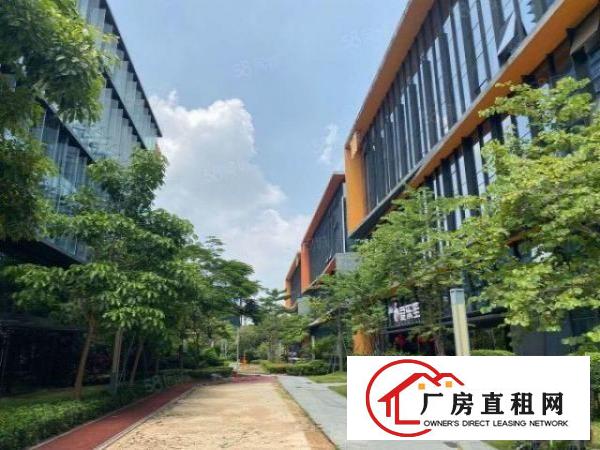  龙华万达工业园200平起分租3000平精装仓库厂房出租