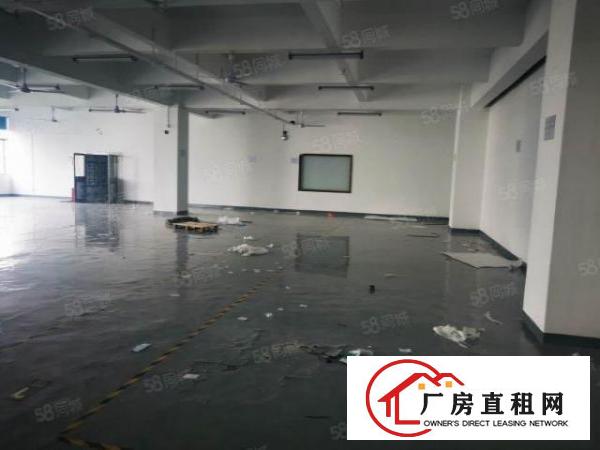  龙华大浪靠近布龙路周边新出楼上1500平全新地坪漆领包入住