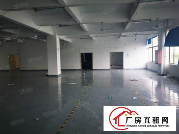  龙华大浪靠近布龙路周边新出楼上1500平全新地坪漆领包入住