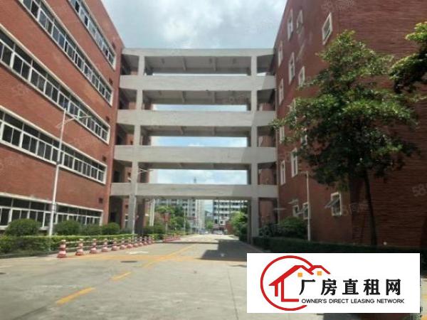  大浪楼上厂房3000平，1000平，500平，大小分租