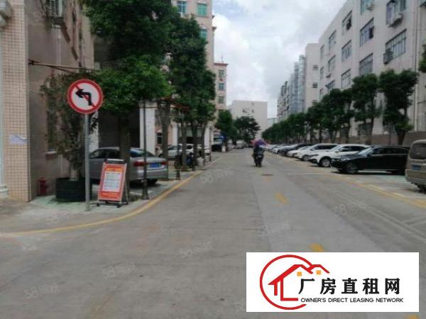  大浪楼上厂房3000平，1000平，500平，大小分租