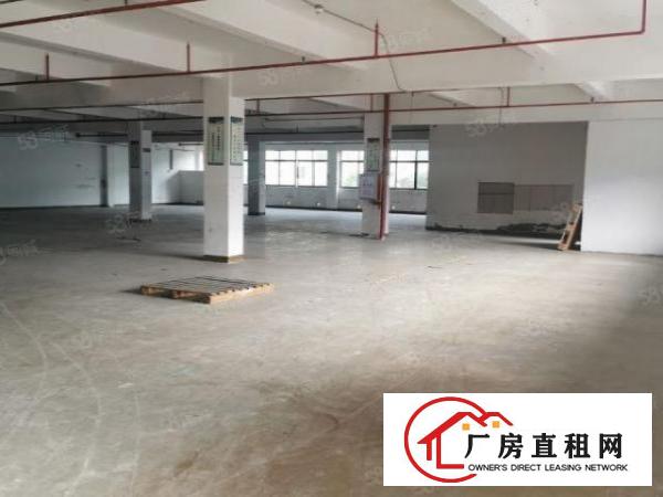  大浪楼上厂房3000平，1000平，500平，大小分租